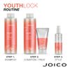 Joico YouthLock Shampoo Formulated With Collagen | Youthful Body & Bounce | Reduce Breakage & Frizz | Soften & Detangle Hair | Boost Shine | Sulfate Free | With Arginine | 33.8 Fl Oz