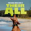 Benebone Dog Ball, 100% Natural Rubber