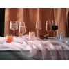 Schott Zwiesel Passionata - Set of 2 Gin & Tonic Glasses - 700ml - German Quality & Dishwasher Safe