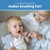 Dr Brown's Options Toothbrush, Blue