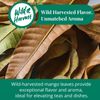 Dried Mango Leaves 2.6oz, Hojas De Mango, Diabetic, Immune & Digestive Tea