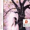 忘れられた桜の木 (CCCD)