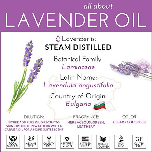 100% Pure Bulgarian Lavender Essential Oil for Diffuser & Aromatherapy, 1  fl oz - Pure Body Naturals 