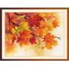 RIOLIS Cross Stitch Kit - PT-0054 - Autumn Colours