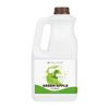 Tea Zone Green Apple Syrup (64oz), J1020