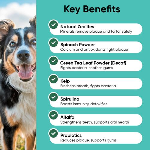 iHeartDogs Clean Teeth & Fresh Breath Dental Powder for Dogs - Targets Tartar & Bad Breath - Natural Herbal Blend with Kelp, Probiotics - Mint, 90 Servings
