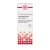 Lilium tigrinum D4 DHU Dilution, 50 ml Lösung