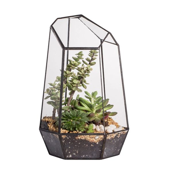 NCYP Geometric Glass Terrarium Planter for Succulent, Small Cacti - 6.5" x 5.7" x 9.8" - Tabletop Black Irregular Opened Container Pot for Indoor Home Garden, Office Decor (No Plants, No Door)