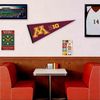 Minnesota Gophers Big 10 Pennant Flag