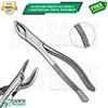 Extracting Forceps #62 Upper & Lower Incisors Dental Instrument German Grade