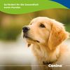 Canina Canhydrox Gag Tabletten, 1er Pack (1 x 0.1 kg)