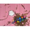 Paint Your Own Craft Fun Animals Set - DIY Gift, Plaster Panting, Paint Box