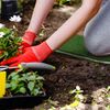 Bomsere Rectangular Garden Kneeling Mat, Green, G129 40 cm x 20 cm