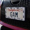GRAPHICS & MORE Black and White Dragons Pattern License Plate Tag Frame