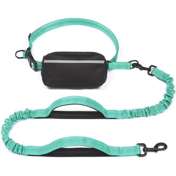 iYoShop Hands Free Dog Leash with Zipper Pouch, Dual Padded Handles and Durable Bungee for Walking, Jogging and Running Your Dog (Large, 25-120 lbs, Teal)