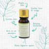 Belle Aroma 10 ml Organic Peppermint Essential Oil