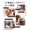Protein Mate Delicious Protein Replacement Diet (Cocoa, 2)