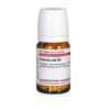 Formica rufa D6 DHU Tabletten, 80 St. Tabletten