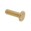 B&P Lamp® 8/32 Brass Plated Thumbhead Screws, 3/4" Length