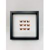 Handmade 3D Copper Square Butterfly Picture Frame