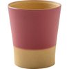 Kanoh Gentle Coloring Antibacterial Cup, Akane