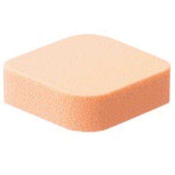 Kao Cosmetics\Sofina Alblanc Gel Creamy Foundation Sponge