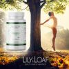 Lily & Loaf Vitamin C High Strength 1,000mg – Controlled Release (90 Tablets)