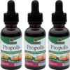NATURE'S ANSWER, AF PROPOLIS 1 OZ EA 1