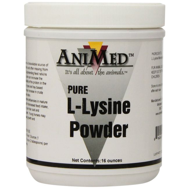 AniMed L-Lysine for Horses, 16-Ounce