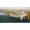 RC Squint Scale Park flier, L4 Grasshopper