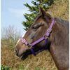 Rhinegold Nylon Headcollar - Pony - Purple