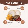 2 Pack Mushroom Complex Supplement | 90 Capsules | 8 Mushroom Blend