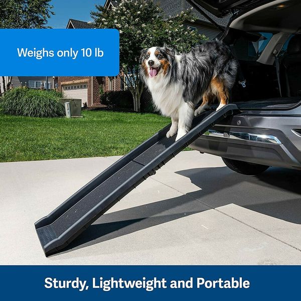 PetSafe Happy Ride 62" Folding Dog Ramp, 62462, Supports up to 150lbs