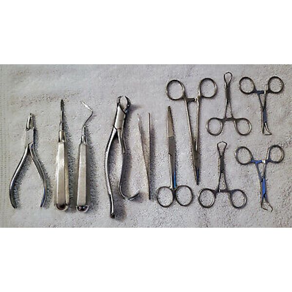 Lot of Dental Instruments Elevator Forceps Cotton Pliers Hemostats Clev-dent