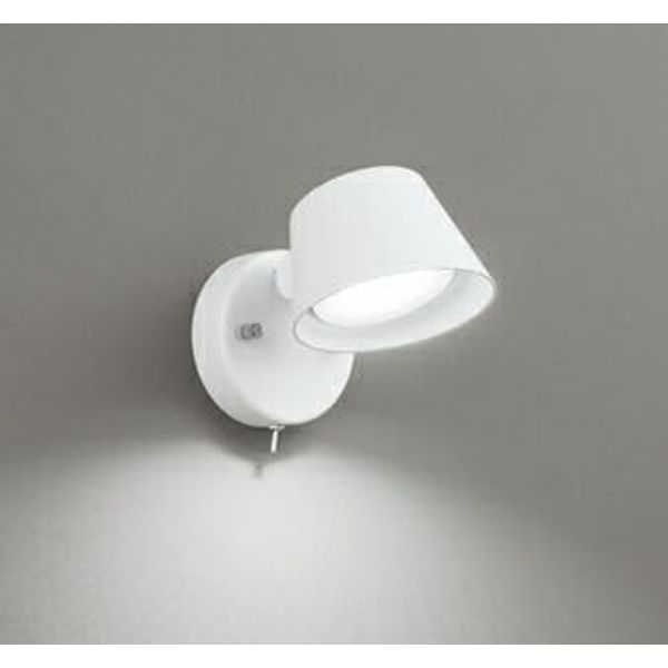 Oderic OB255384NR LED Kitchen Light with Switch, Wall Mount, Non-Dimmable, 60W Equivalent, Matte White, Daylight White