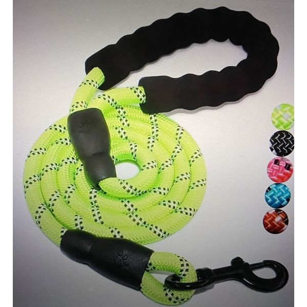 5 Feet Premium Reflective Dog Leash Durable Water Resistant Nylon  Light Green