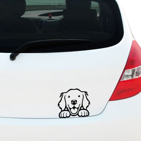 Peeking Golden Retriever Dog Vinyl Decal Sticker for Car Window Bumper Pet Dog Puppy, Caravan Sticker, Laptop Sticker, 180mm