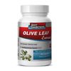 Olive Leaf Powder - Olive Leaf Extract 500mg - Elenolic Acid Supplements 1B