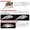 Mega Bath (Megabass) Lure Big – Medium (bigguemu) 4.0 Japanese Silver oikawa