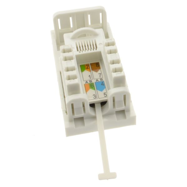 kenable CAT6 Low Profile RJ45 Module Keystone with Name Plate in White