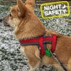 Ancol Viva Padded Harness Red M 41-53cm