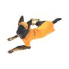 Midlee Orange Prisoner Halloween Dog Costume (X-Large)