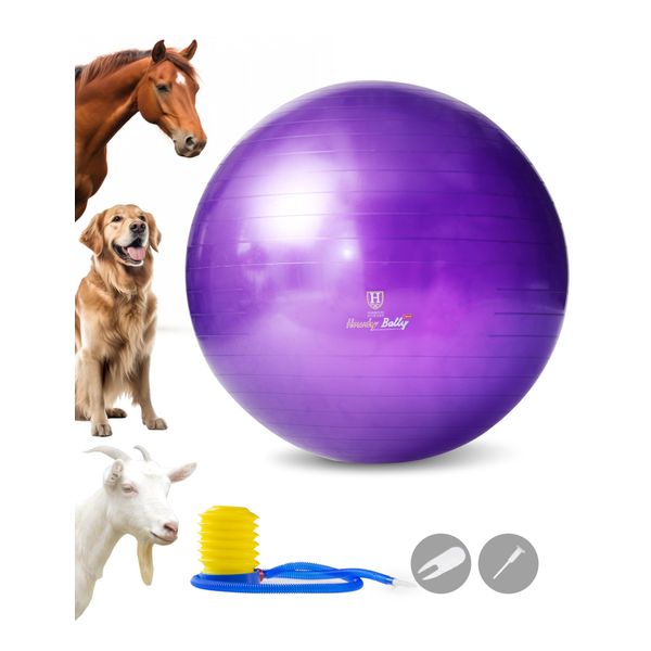 Harrison Howard Howdy Bally Mega Horse Play Ball Anti-Burst Giant Horse Ball Horse Soccer Ball Herding Ball Giant Play Ball for Horses 25 Inch-Royal Purple