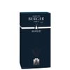 MAISON BERGER Black Spiral Bouquet