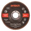 Amtech V0300 115mm 60 grit flap disc