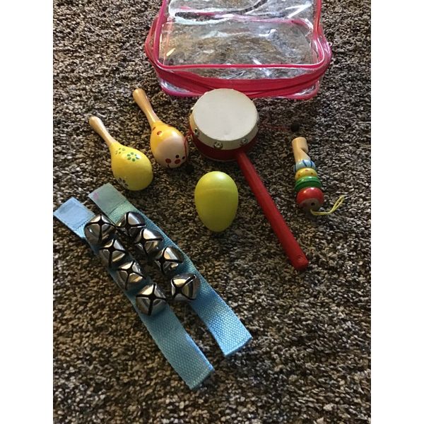 MUSICAL TOY INSTRUMENTS FOR TODDLERS MUSIC EDUCATION  LEARNING W/STORAGE BAG