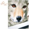 Vervaco Wolf, Aida, Multi, 19.6 x 1.4 x 1 cm
