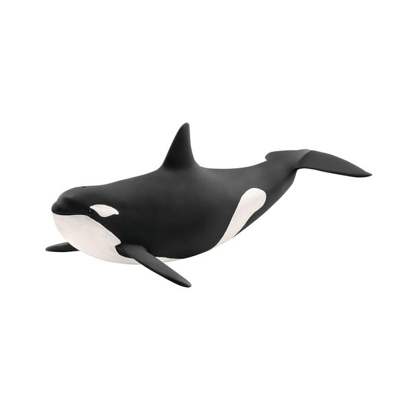 schleich 14807 Animals Killer Whale, Black, único