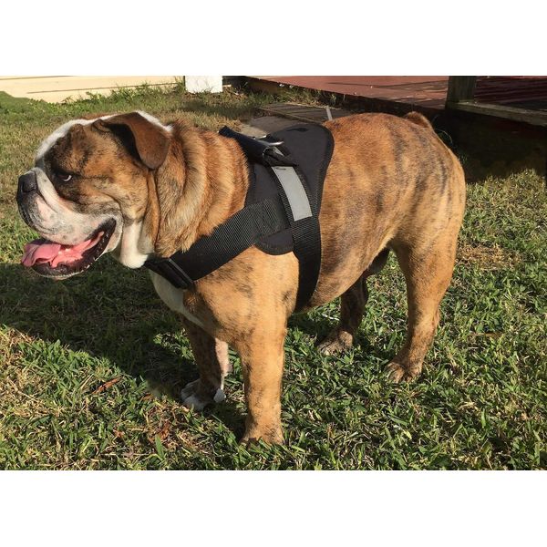 HDP Big Dog Soft No Pull Harness Size:Medium Color:Black