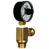 Brass Air Relief Valve Compatible with Pool Filter Systems RV40600 (98209800)